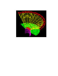 FINE Cone